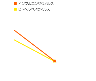 抗ウィルス試験